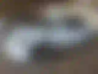 Vehicle Image- 2003 Nissan Sentra