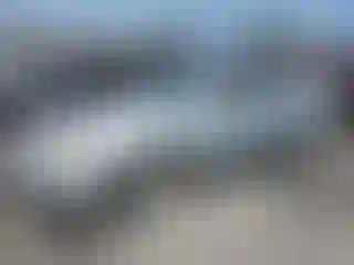 Vehicle Image- 2004 Nissan Sentra