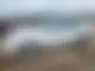 Vehicle Image- 2004 Nissan Sentra