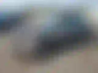 Vehicle Image- 2005 Nissan Sentra