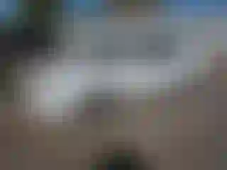 Vehicle Image- 2006 Nissan Sentra