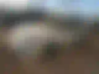 Vehicle Image- 2002 Nissan Sentra
