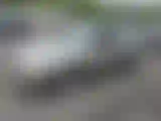Vehicle Image- 2005 Nissan Sentra