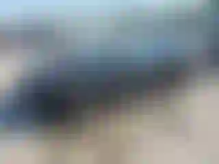 Vehicle Image- 2008 Nissan Sentra