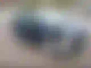 Vehicle Image- 2010 Nissan Versa