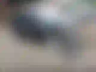 Vehicle Image- 2014 Nissan Versa