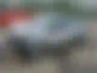 Vehicle Image- 2025 Nissan Versa