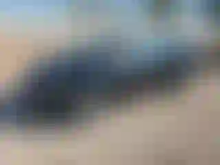 Vehicle Image- 2025 Nissan Versa