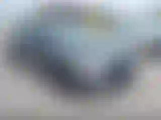 Vehicle Image- 2024 Nissan Versa