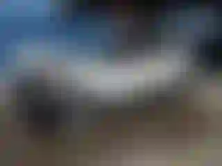 Vehicle Image- 2020 Nissan Kicks