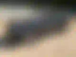 Vehicle Image- 2021 Nissan Kicks