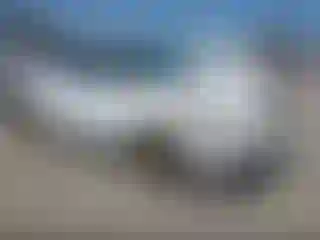 Vehicle Image- 2020 Nissan Kicks