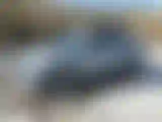 Vehicle Image- 2023 Nissan Kicks