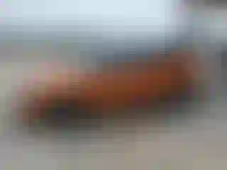 Vehicle Image- 2021 Nissan Kicks
