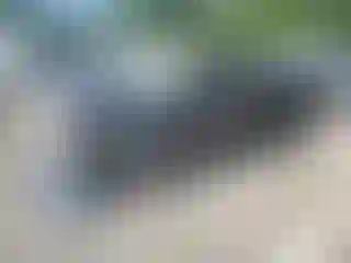 Vehicle Image- 2024 Nissan Kicks
