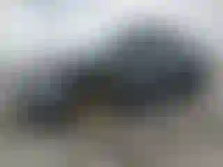 Vehicle Image- 2020 Nissan Kicks