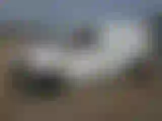 Vehicle Image- 2021 Nissan NV
