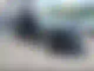 Vehicle Image- 2021 Infiniti QX50