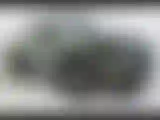 Vehicle Image- 2021 Toyota Tacoma