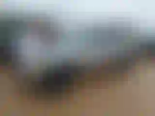 Vehicle Image- 2022 Toyota Tacoma