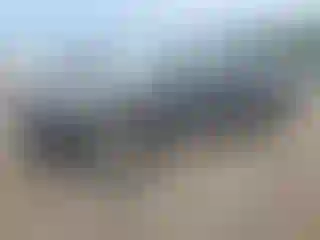 Vehicle Image- 2023 Toyota Tacoma
