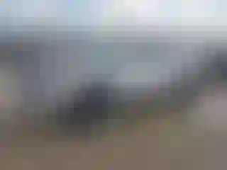 Vehicle Image- 2023 Toyota Tacoma