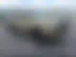 Vehicle Image- 2019 Toyota Tacoma