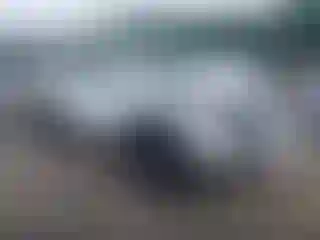 Vehicle Image- 2020 Toyota Tacoma