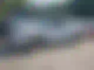 Vehicle Image- 2020 Toyota Tacoma