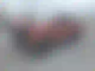 Vehicle Image- 2020 Toyota Tacoma