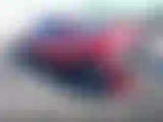 Vehicle Image- 2020 Toyota Tacoma