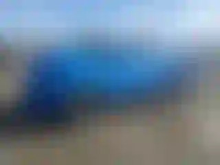 Vehicle Image- 2021 Toyota Tacoma