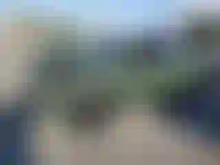 Vehicle Image- 2021 Toyota Tacoma