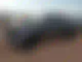 Vehicle Image- 2018 Toyota Tacoma