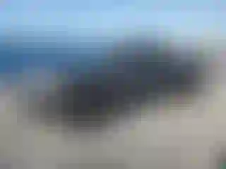 Vehicle Image- 2023 Toyota Tacoma