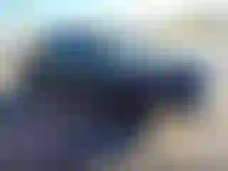 Vehicle Image- 2020 Toyota Tacoma