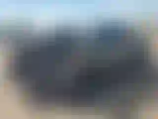 Vehicle Image- 2022 Toyota Tacoma