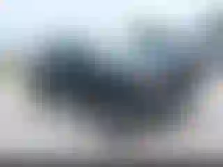 Vehicle Image- 2019 Toyota Tacoma