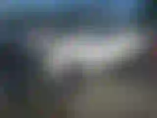 Vehicle Image- 2020 Toyota Tacoma