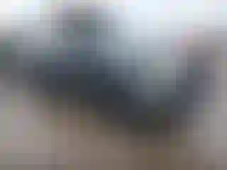 Vehicle Image- 2022 Toyota Tacoma