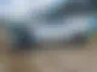 Vehicle Image- 2023 Toyota Tacoma