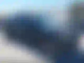 Vehicle Image- 2018 Toyota Tacoma