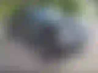 Vehicle Image- 2023 Toyota Tacoma