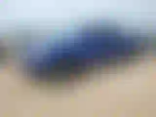 Vehicle Image- 2023 Toyota Tacoma