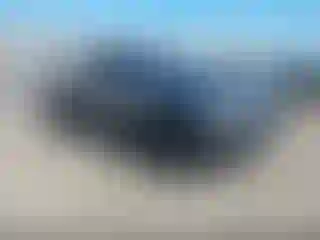 Vehicle Image- 2020 Toyota Tacoma