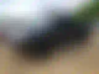 Vehicle Image- 2021 Toyota Tacoma