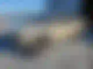 Vehicle Image- 2020 Toyota Tacoma