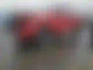 Vehicle Image- 2021 Toyota Tacoma