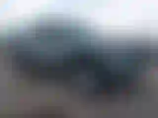 Vehicle Image- 2022 Toyota Tacoma