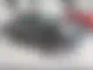 Vehicle Image- 2020 Toyota Tacoma